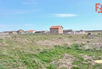 COMISION 0% Parcela de teren de 798 mp in Peciu Nou - 5
