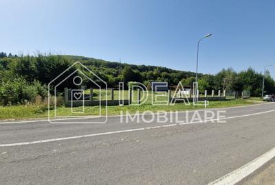 Teren extravilan 2.300 mp – Cârțișoara, județul Sibiu - 3
