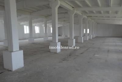 Teren 18.400 mp cu 4 hale P+E pe Artera principala vizavi de Metro-Momax - 19