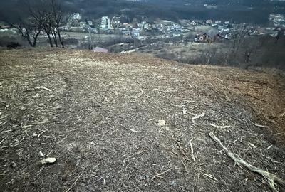 Teren Intravilant cu un Formidabil View /Priveliște a întregului oraș Zalău - 6