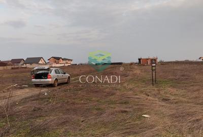 Teren pentru casa Zona Berceni- Pret excelent - 5