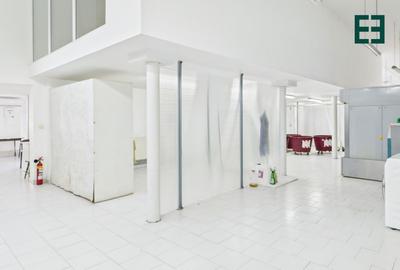 Spațiu comercial / industrial - 9 camere - Zona Elisabetin - Timișoara - 7