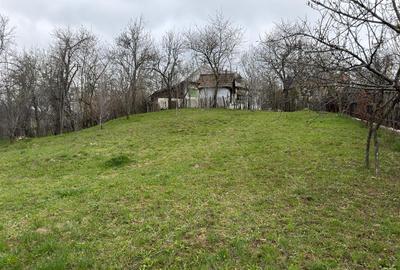 Teren intravilan 1518 mp, constructie, Sotrile, Prahova - 24 EUR/mp - 2