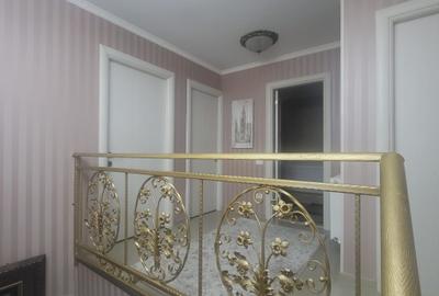 FUNDENI-DOBROIESTI, vila 2014 P+M, singur curte - 17