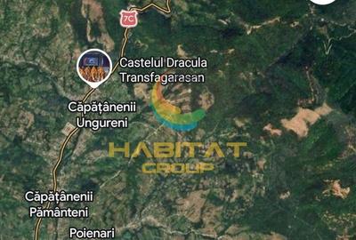 Teren intravilan cu apa/curent 5€/mp Corbeni-Arges - 8