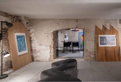 Spatiu Comercial Cismigiu - 14