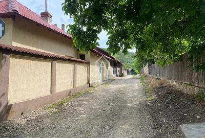 Domeniu 15.900 mp în Fințești | Casă + Investiție Dealu Mare - 24