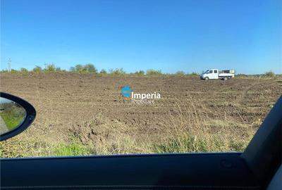 Teren intravilan de vanzare in Iasi, zona Copou - 6