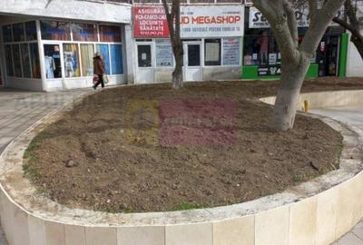 Vanzare spatiu langa parcul central in Alexandria / Teleorman - 7