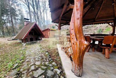 Refugiu rustic in natura – proprietate deosebita in Valea Avrigului – Sibiu - 5
