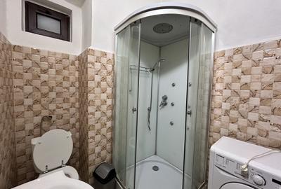 Apartament 1 camera Boul Rosu de inchiriat - 9