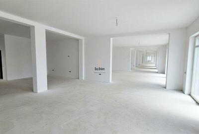 Spatiu Comercial - 300 mp - Doamna Stanca - 2