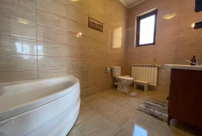 Vila deosebita Strada Viilor - Popesti Leordeni - Cartier Privat - 11