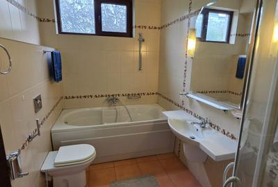 Baneasa Teisani vila 7 camere teren 1000 mp - 32