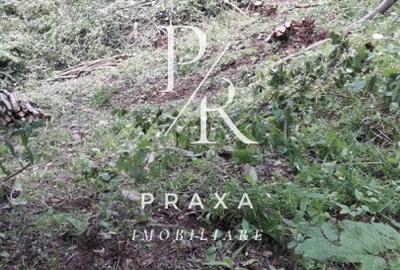 Teren de vanzare 10.000 mp/ parcelabil, cu utiitati, 4 euro/ mp! Maguri Racatau! - 8
