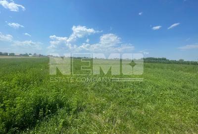 Teren intravilan | 3770 MP | Suceava, Frătăuții Vechi - 2