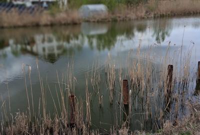 Teren 5600 mp deschidere Lac Snagov 32ml - 1