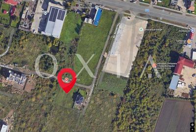 OX701 Terenuri Zona Buziasului | langa Hornbach - 1