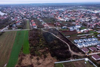 Vanzare teren intravilan 10.000mp Afumati - Strada Teiului - 4