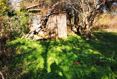 Teren Generos cu Casa in Gruiu - Snagov - 14