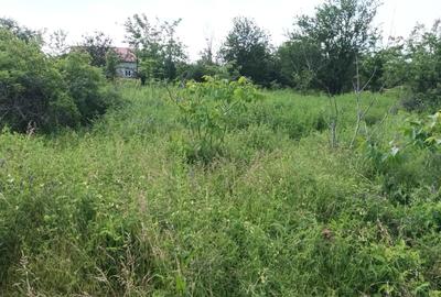 Domnesti, teren intrav 828/24, strada Doinei, bun duplex, utilitati,  46368 euro - 1
