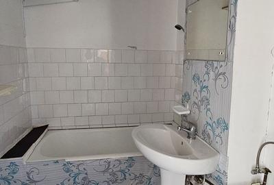 Spitalul Judetean-Zizinului garsoniera in bloc apartamente - 12