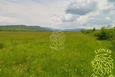 Teren 13100 mp-parcelabil-ideal cabana/agricultura-Orheiul Bistritei - 4