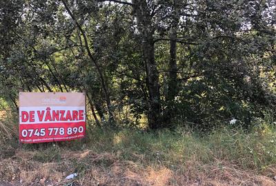 Teren Construcții intravilan de 4500 mp, în Periferie