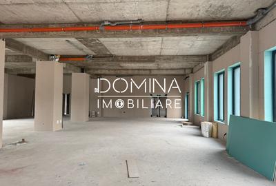 Închiriere spațiu comercial *peste 350 mp cu parcare* - strada Tineretului - 4