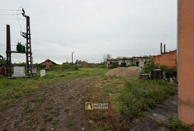 Hală industrială de vânzare – Sebiș, jud. Arad - 7