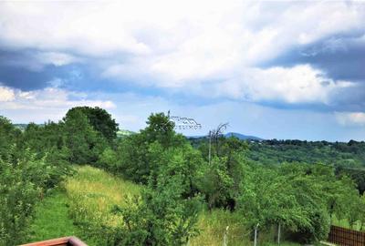 Manuel recomanda : Vila superba in Cornu de Jos 295mp , teren 1360mp - 29