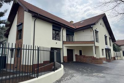 Casă cu 8 camere în Iancu Nicolae