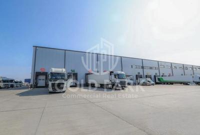 Spatiu Industrial - Calea Someseni - Parc Logistic - 4