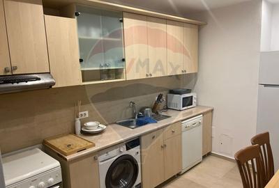INCHIRIERE Apartament cu 2 camere in zona Nordului - 14