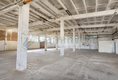 Hala cu rampa de inchiriat in Oradea,Calea Borsului - 3