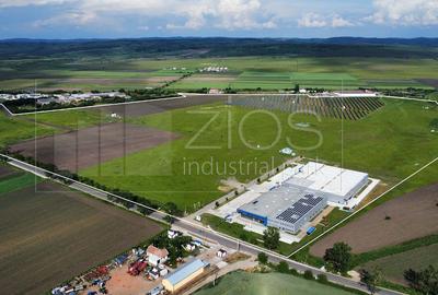 Teren industrial de vânzare intravilan, PUZ, utilități, drum asfaltat - 5
