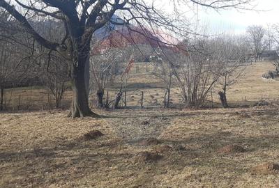 Teren 10,279 mp Bran- Predelut / Strada Pe Tarina nr. 70A - 5