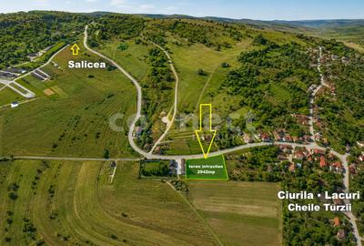 Teren intravilan de vânzare | 2942 mp | Ciurila, Cluj - 1