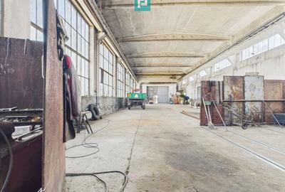 Complex industrial cu hale și teren  în Orțișoara - 40