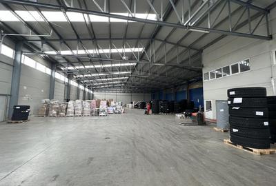 Hala moderna / Productie / Depozitare - 5