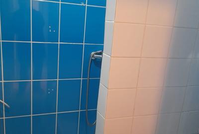 DOROBANTI ,IANCU DE HUNEDOARA GARSONIERA  PET FRIENDLY INCHIRIERE - 11