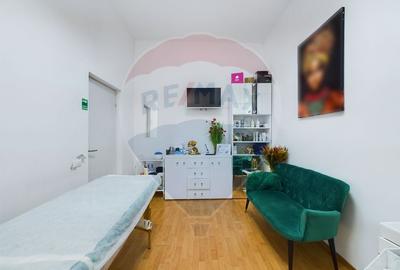 De vanzare Casa Vila București S+P+M in Sector 1 - 11