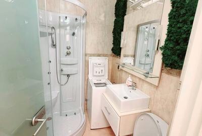 Ap Iancului - Ferdinand Obor lux 550 Euro - 5