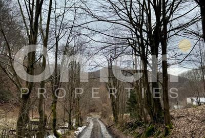 Teren extravilan de vânzare | 1402 mp | Blidari | zonă superbă - 3