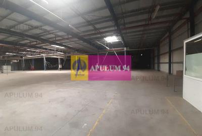 Spatiu Logistic langa Bucuresti Hala 5000 mp - 51