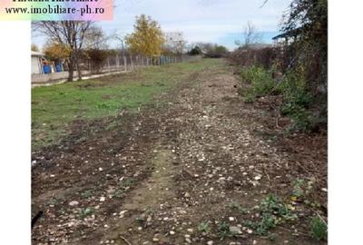 Teren de vanzare - Bereasca (vizavi Gama) - 3