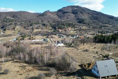 Proprietar, vand teren pt. case de vacanta (20.301mp) Rasnov, Brasov - 5