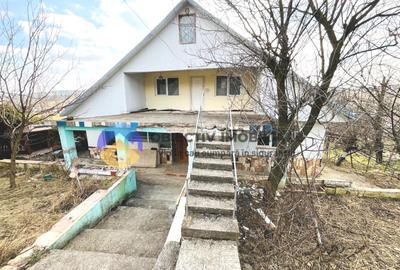 CASĂ cu teren 5958 mp – DOBRENI, judetul Neamț - 14