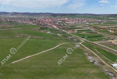 Teren de vanzare 630 mp in Sibiu pretabil investitie - 3