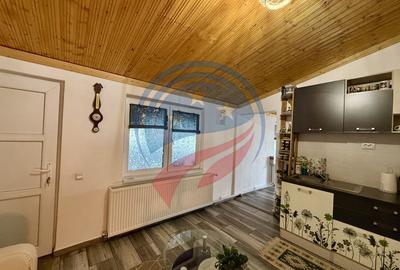 Casa cu teren generos/de vanzare/com Leu, Dolj - 14